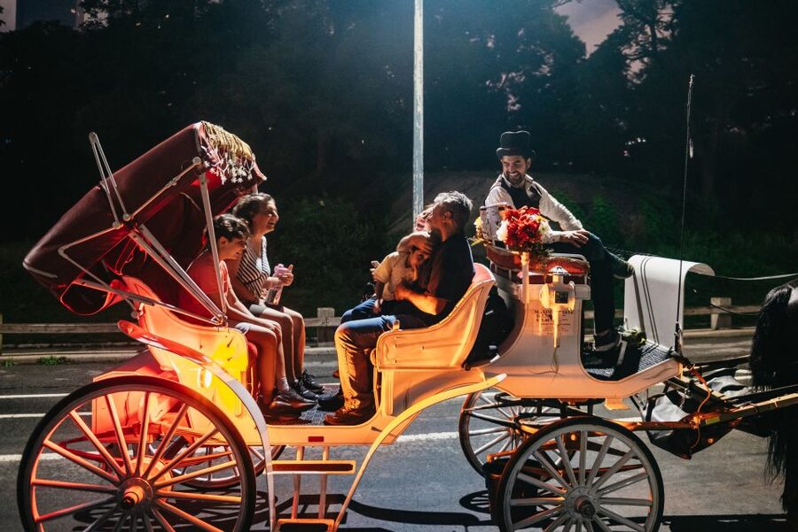 Central Park, Rockefeller & Times Carriage Ride (4 Adults) - Should you book the Central Park and Rockefeller carriage ride?