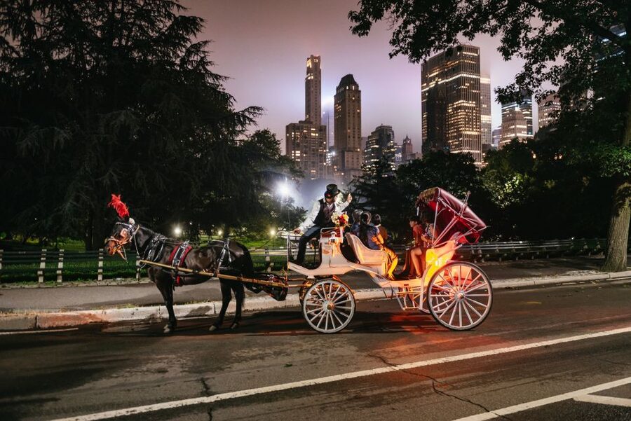 Central Park, Rockefeller & Times Carriage Ride (4 Adults) - Rockefeller Center and the bright Midtown streets