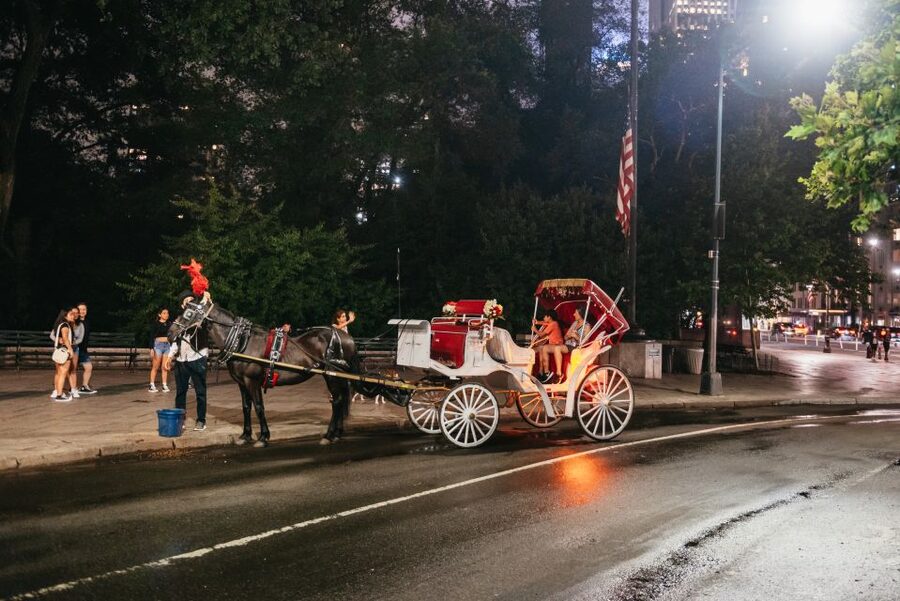 Central Park, Rockefeller & Times Carriage Ride (4 Adults) - What the 50-minute schedule really gives you