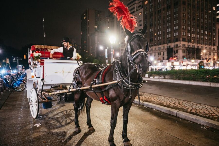 Central Park, Rockefeller & Times Carriage Ride (4 Adults) - Weather, comfort, and practical limits