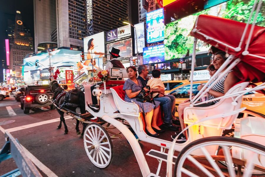 Central Park, Rockefeller & Times Carriage Ride (4 Adults) - Fifth Avenue and the Apple landmark