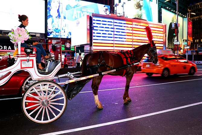 Central Park & Rockefeller Tour (4 Adults) - What the private format is really worth