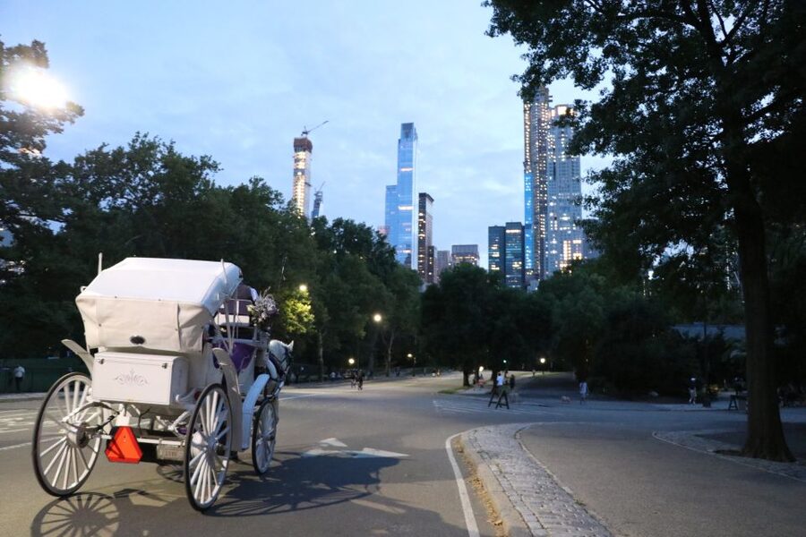 Central Park: Short Horse Carriage Ride (Up to 4 Adults) - Who will enjoy this carriage ride most?