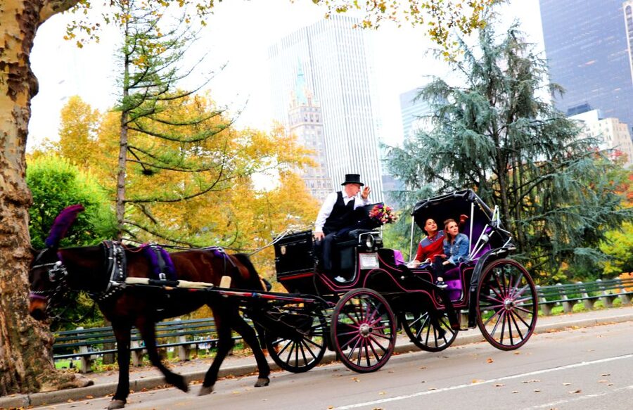 Central Park: Short Horse Carriage Ride (Up to 4 Adults) - Bethesda Terrace and the photo stops