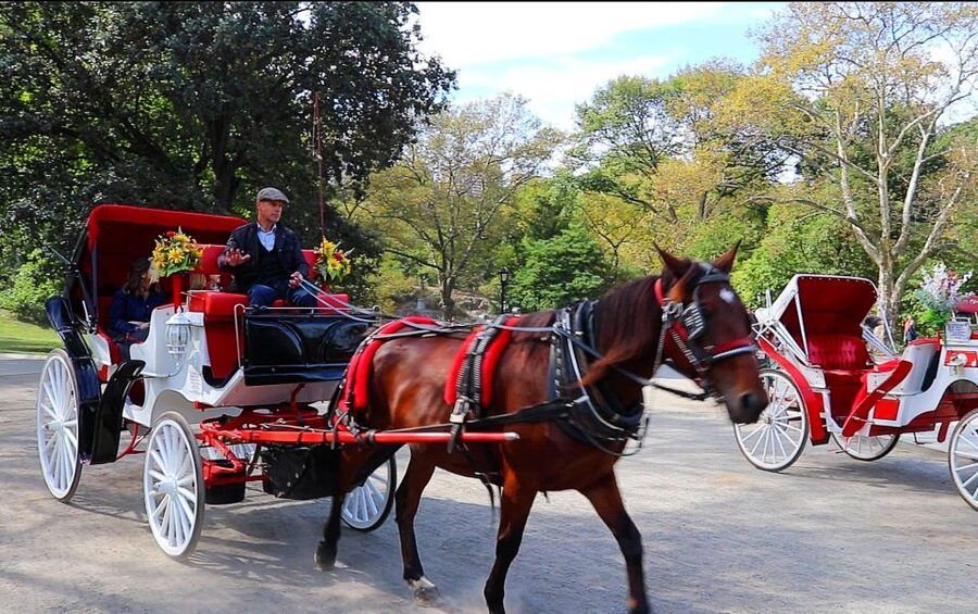 Central Park: Short Horse Carriage Ride (Up to 4 Adults) - Bow Bridge and the park’s quieter side