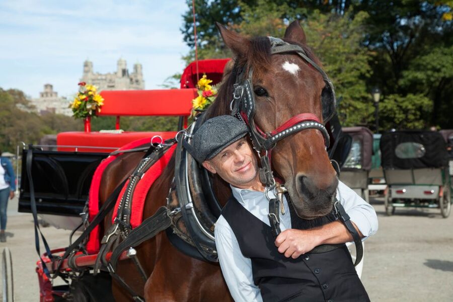 Central Park: Short Horse Carriage Ride (Up to 4 Adults) - Meeting the carriage near the José Julián Martí Statue