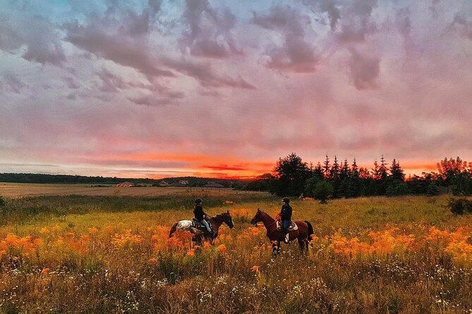 Champagne and Charcuterie Sunset Trail Ride - Following the Trails at Lake Louisa State Park