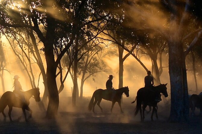 Champagne and Charcuterie Sunset Trail Ride - Should You Book the Champagne and Charcuterie Trail Ride?