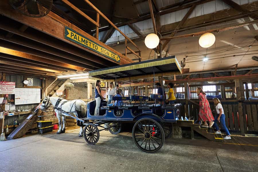 Charleston: Downtown Horse-Drawn Carriage Tour - Riding through Charleston’s historic residential district