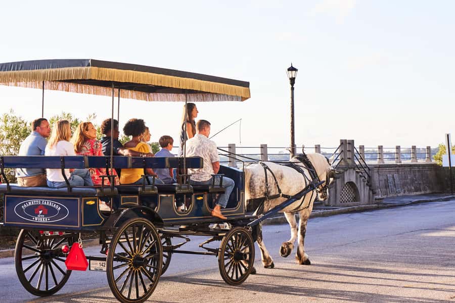 Charleston: Downtown Horse-Drawn Carriage Tour - Horses, comfort, and the feel of the ride