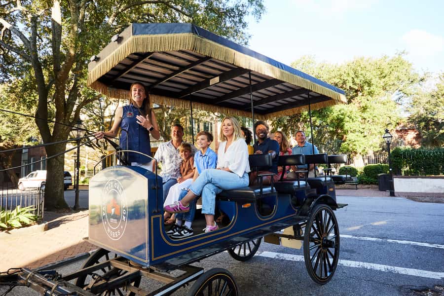 Charleston: Downtown Horse-Drawn Carriage Tour - Who will enjoy this carriage tour?