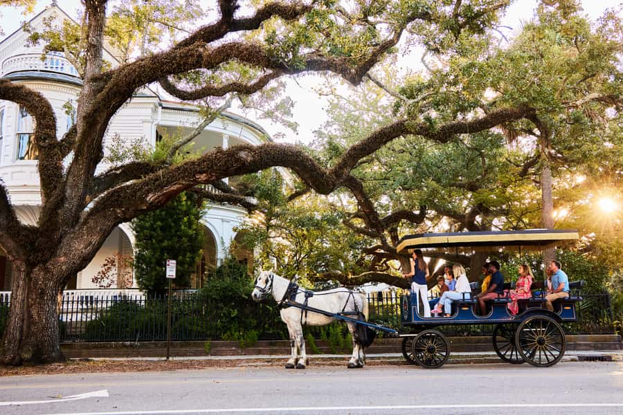Charleston: Downtown Horse-Drawn Carriage Tour - Starting at the red barn on Anson Street
