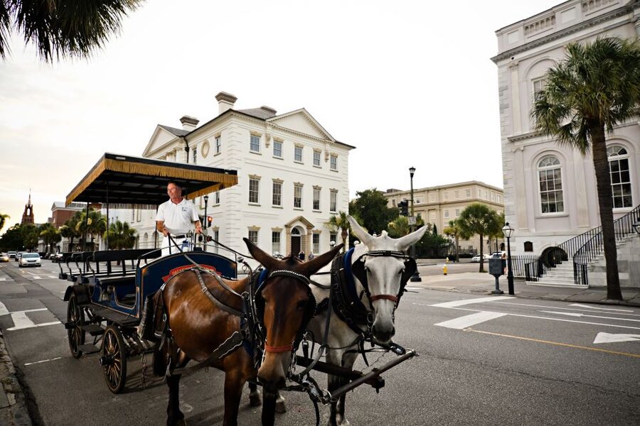 Charleston: Haunted Horse-Drawn Carriage Evening Tour - Churches, cemeteries, and the city’s darker stories