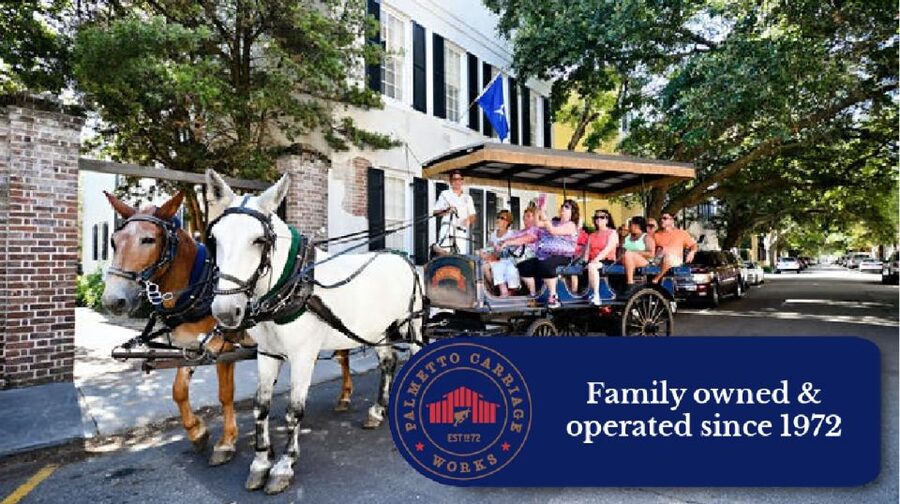 Charleston: Haunted Horse-Drawn Carriage Evening Tour - A slow ride through Charleston after dark