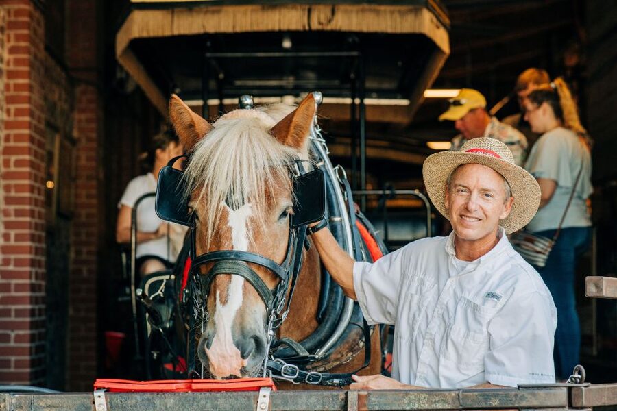 Charleston: Historical Downtown Tour by Horse-drawn Carriage - Who should book this Charleston ride?