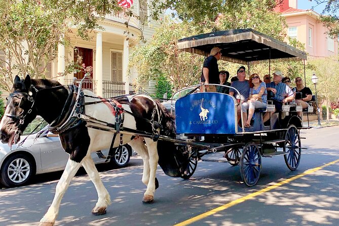 Charleston Horse & Carriage Historic Sightseeing Tour - A calm first look at Charleston’s old streets