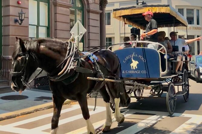 Charleston Horse & Carriage Historic Sightseeing Tour - Rainbow Row and Charleston’s famous facades