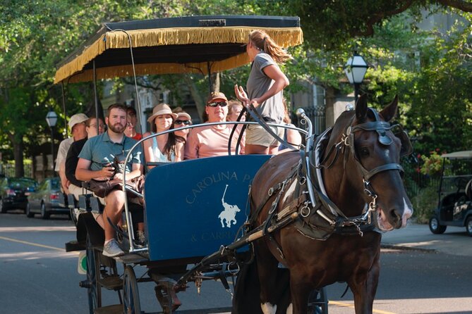 Charleston Horse & Carriage Historic Sightseeing Tour - Nathaniel Russell House and St. Philip’s Church