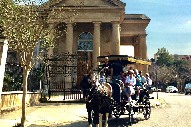 Charleston Horse & Carriage Historic Sightseeing Tour - Guides, horses, and the human side of the ride