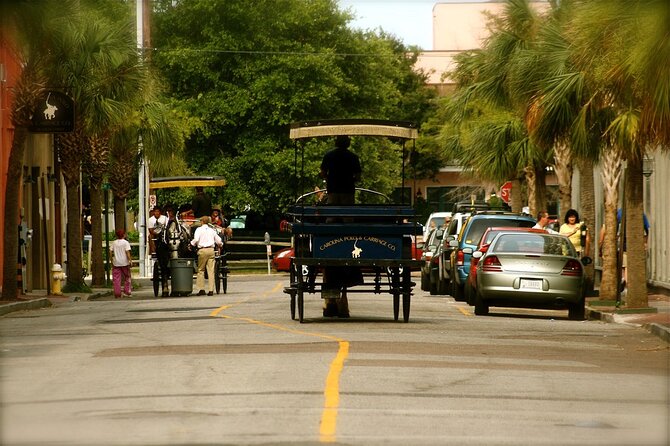 Charleston Horse & Carriage Historic Sightseeing Tour - The sound level and seating matter