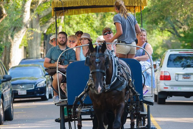 Charleston Horse & Carriage Historic Sightseeing Tour - Why the route can change your experience