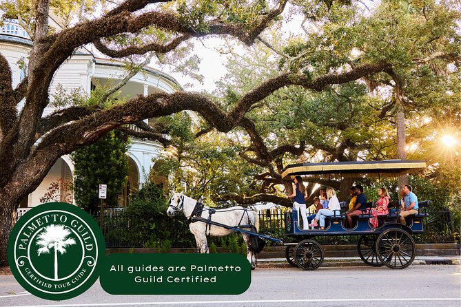Charleston Horse-Drawn Carriage Tour: Explore Historic Charleston - Meeting the horses at the Big Red Barn