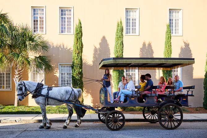 Charleston Horse-Drawn Carriage Tour: Explore Historic Charleston - Timing, weather, and comfort