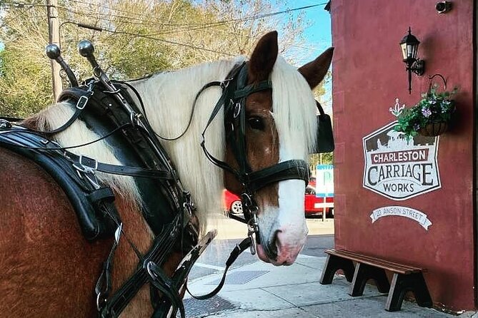 Charleston's Historic Residential Horse and Carriage Tour - Key points to know before you book