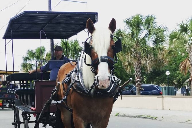 Charleston's Historic Residential Horse and Carriage Tour - Timing, weather, and cancellation details