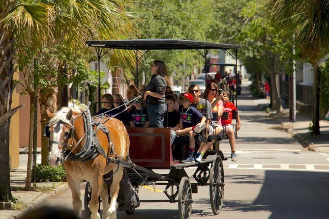 Charleston's Historic Residential Horse and Carriage Tour - Starting at Charleston Carriage Works on Anson Street