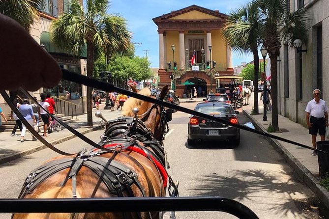Charleston’s Old South Carriage Historic Horse & Carriage Tour - What the carriage ride feels like