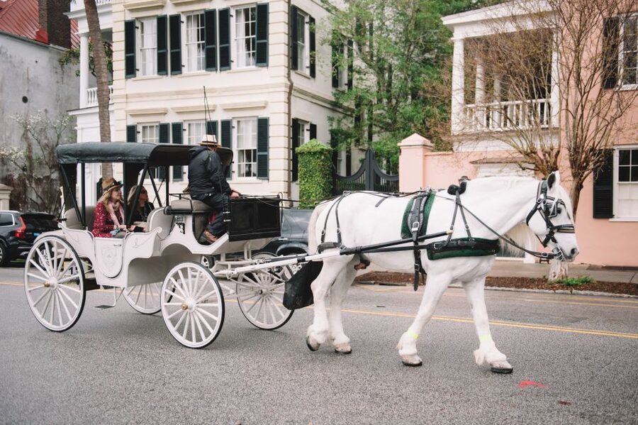 Charleston, SC: Private Daytime Horse-Drawn Carriage Ride - Key points to know before you book