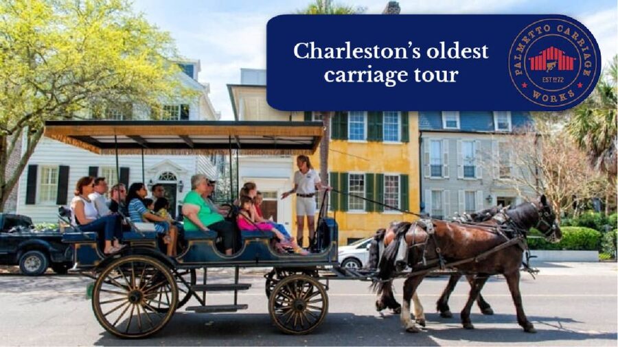Charleston, SC: Private Daytime Horse-Drawn Carriage Ride - A gentle introduction to Charleston’s historic center