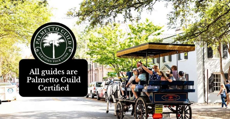 Charleston, SC: Private Daytime Horse-Drawn Carriage Ride - The carriage route lottery is worth asking about