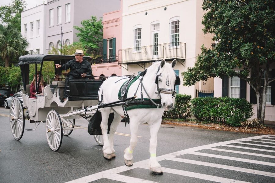 Charleston, SC: Private Daytime Horse-Drawn Carriage Ride - Is $250 a fair price?