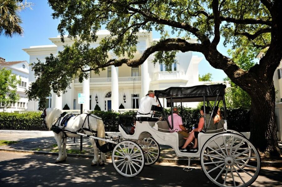 Charleston, SC: Private Daytime Horse-Drawn Carriage Ride - Who should book this Charleston carriage ride?