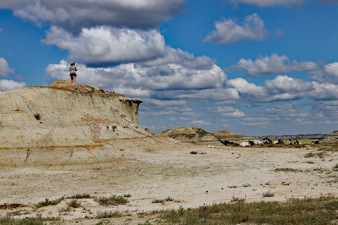 Chasing Horses Back to Nature Experience in North Dakota - Key points at a glance