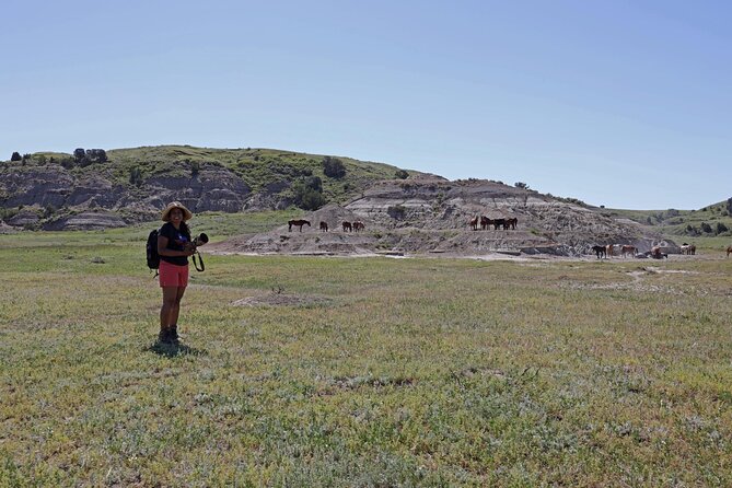 Chasing Horses Back to Nature Experience in North Dakota - The Medora meeting point