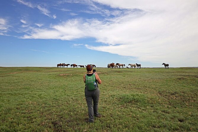 Chasing Horses Back to Nature Experience in North Dakota - Four hours in Theodore Roosevelt National Park