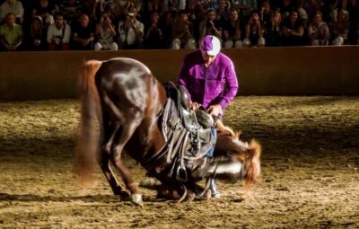 Chez Ali Dinner & Horsemen Show From Marrakech