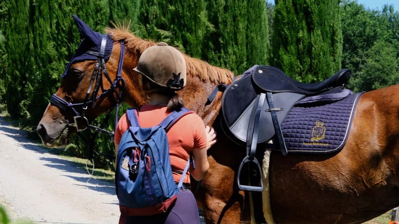 Chianti: Horseback Riding Through Vineyards and Woods - Key points at a glance