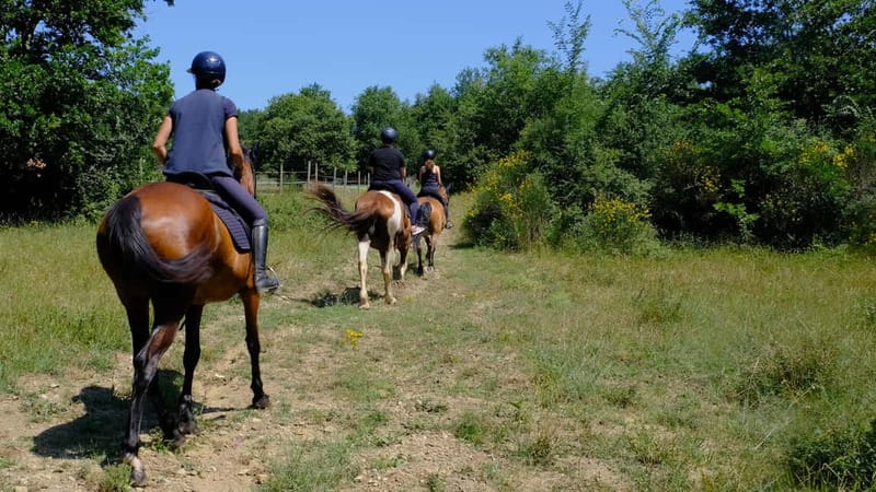 Chianti: Horseback Riding Through Vineyards and Woods - Starting at Azienda Agricola Podere Marcigliano