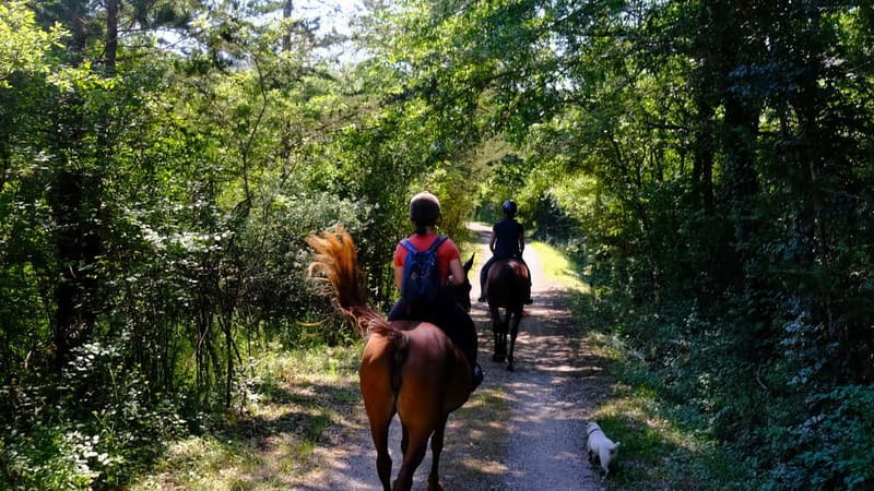 Chianti: Horseback Riding Through Vineyards and Woods - Along the river and into the woods