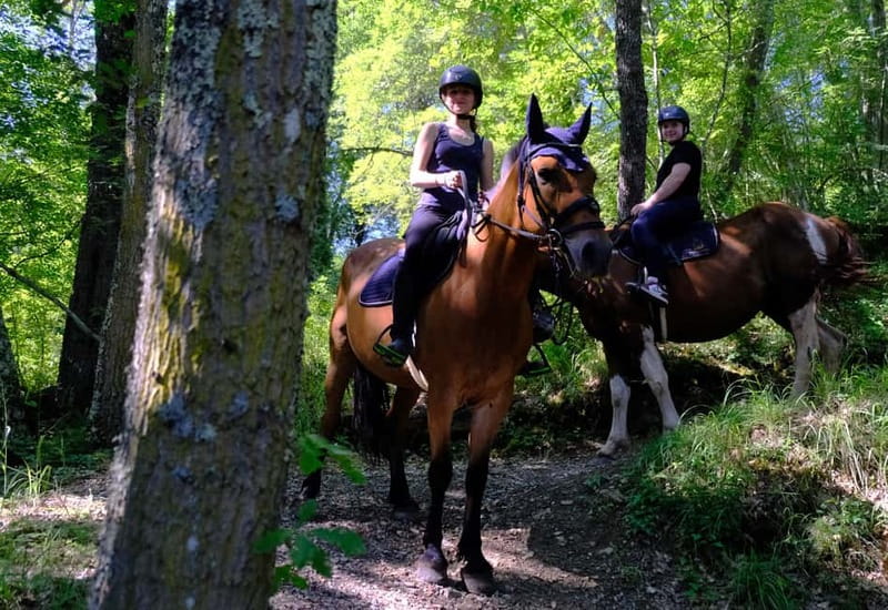 Chianti: Horseback Riding Through Vineyards and Woods - Is $73.64 a fair price?
