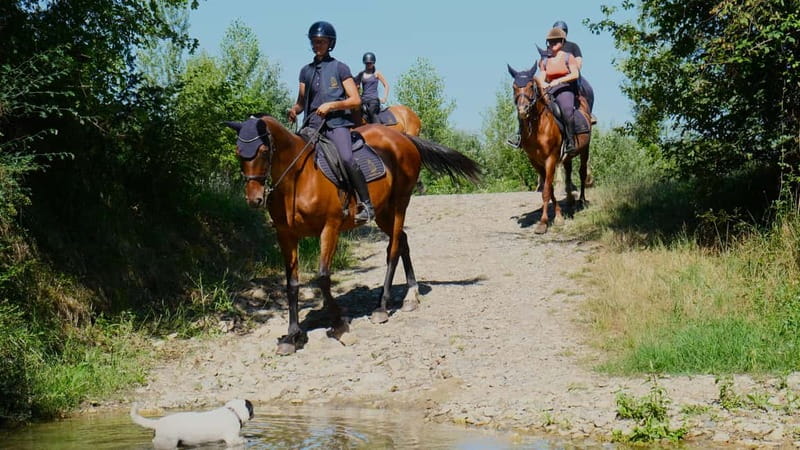 Chianti: Horseback Riding Through Vineyards and Woods - Who will enjoy this Chianti horseback ride?