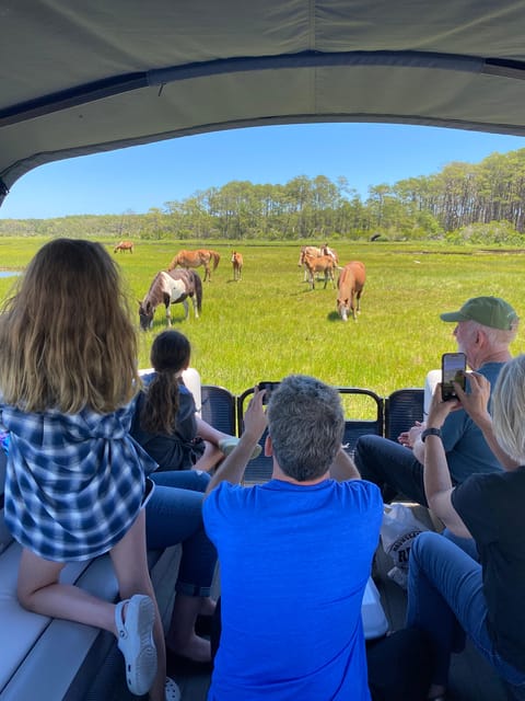 Chincoteague: Premier Pony & Wildlife Small Group Boat Tour - Key points to know before you book