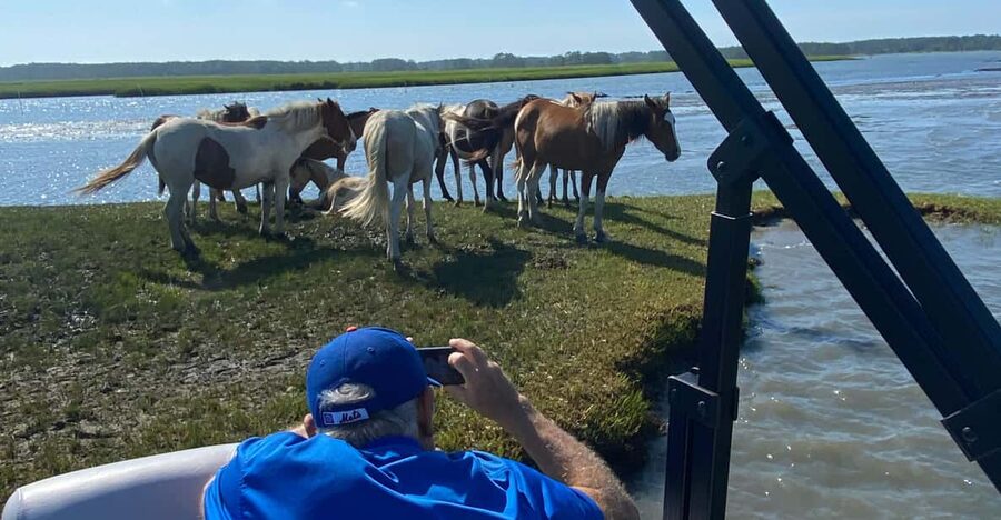 Chincoteague: Premier Pony & Wildlife Small Group Boat Tour - Who will enjoy this tour most
