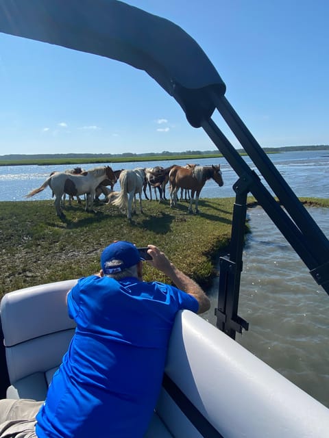 Chincoteague: Premier Pony & Wildlife Small Group Boat Tour - Why a six-person boat changes the Chincoteague experience