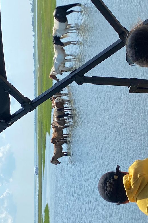 Chincoteague: Premier Pony & Wildlife Small Group Boat Tour - The first cruise through Chincoteague and Assateague waters
