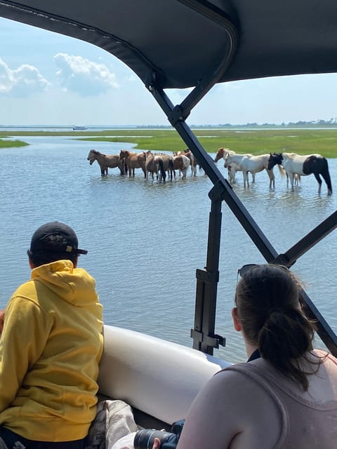 Chincoteague: Premier Pony & Wildlife Small Group Boat Tour - Meeting Captain Mike at Floating Dock Number 2